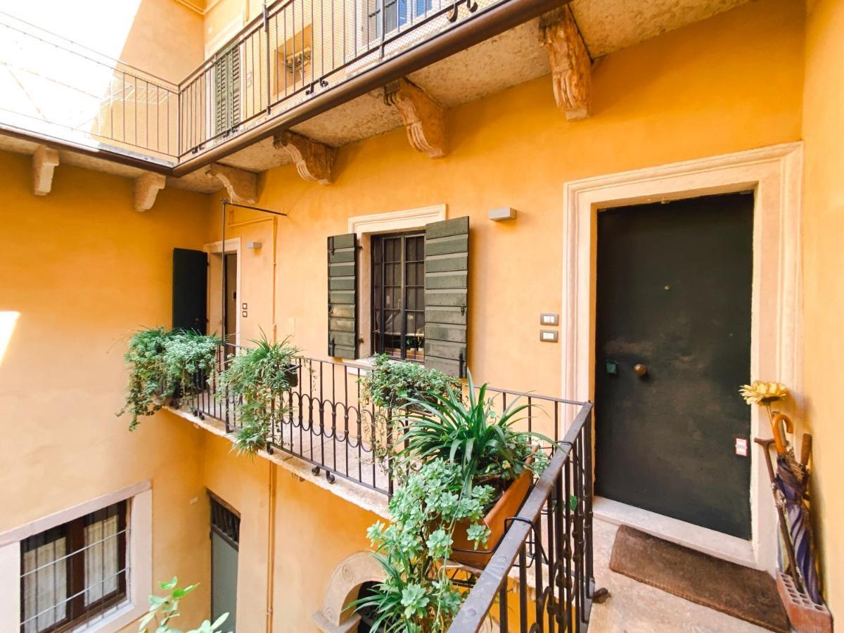 Appartement Fontanelle Terrace House