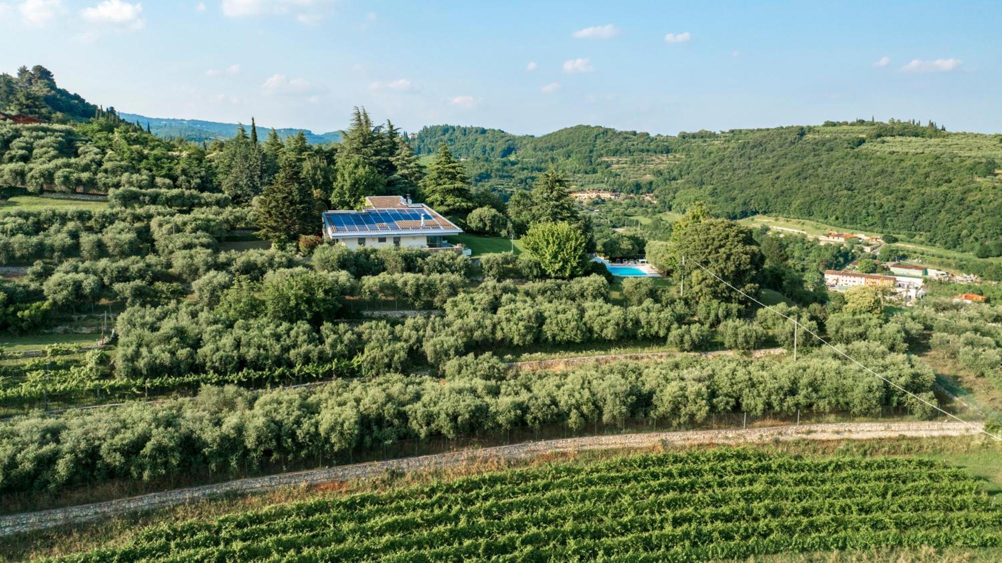 Villa Degli Ulivi 8, Emma