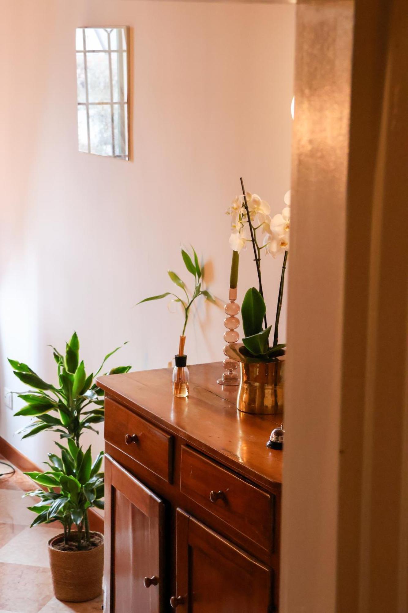Aurelia Maison Apartamento *