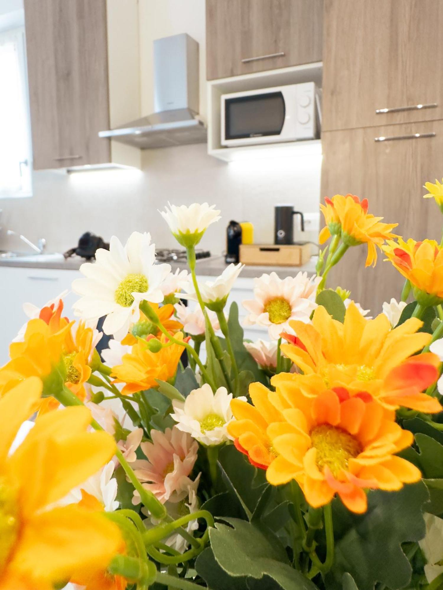 Comfort Appartement *