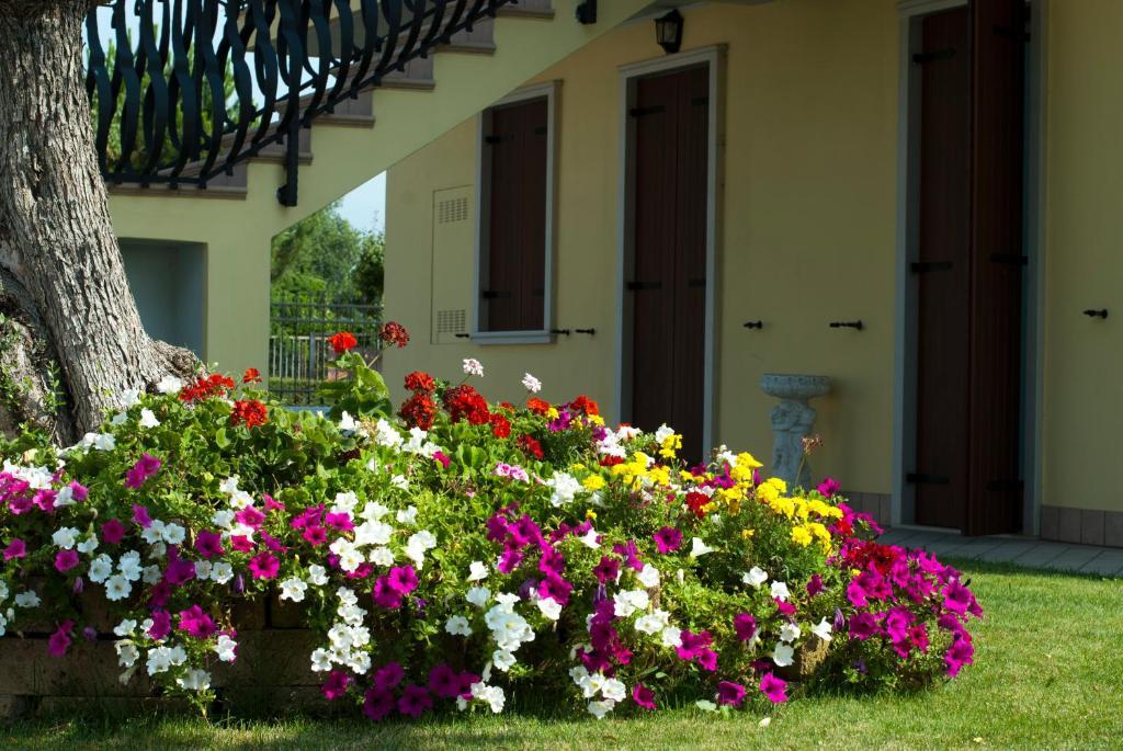 Residenza La Ricciolina 2*