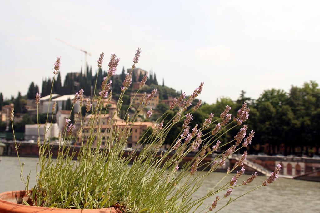 Sottoriva36 Bed and breakfast *