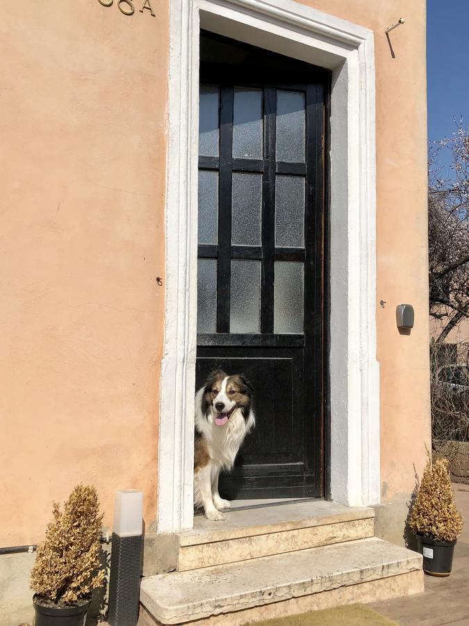 Affittacamere Casa Perlar Verona