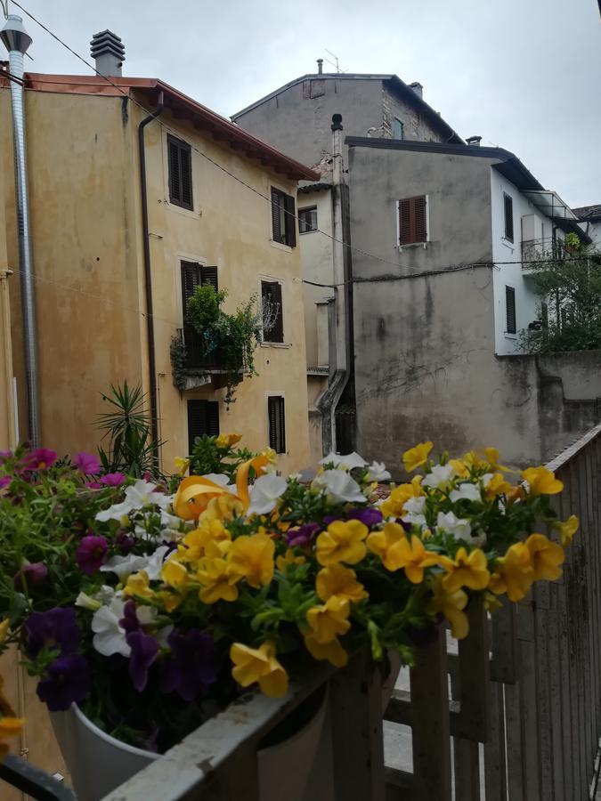 Blunotte Maison d'hôtes Vérone