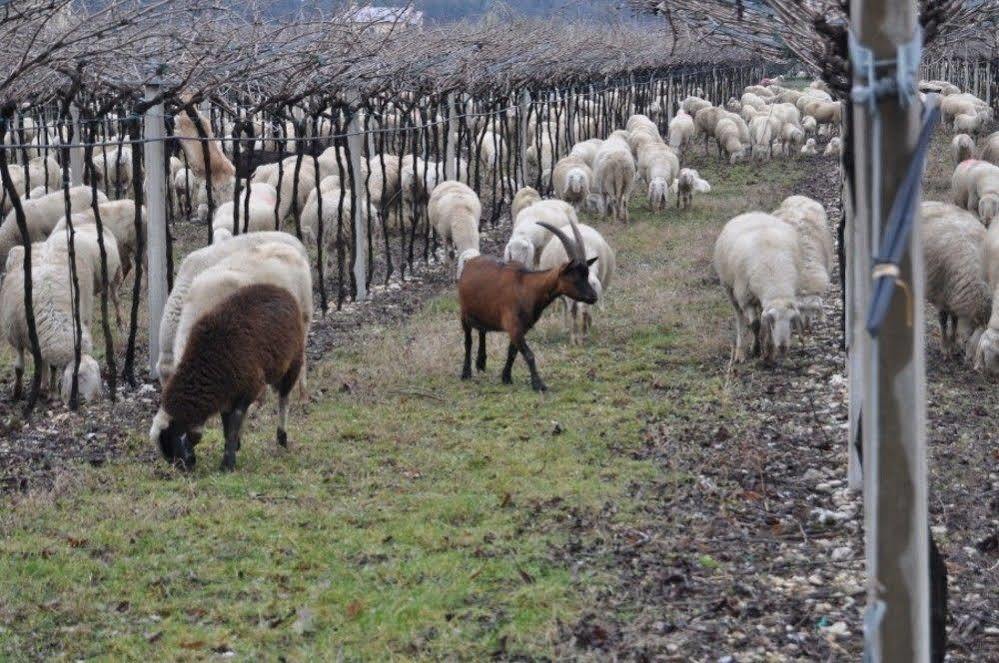 Corte Moranda Alloggio per agriturismo