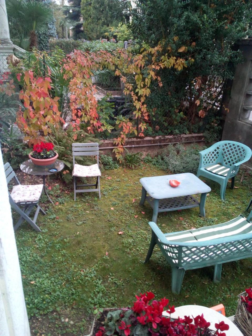 Mavipagi Verona