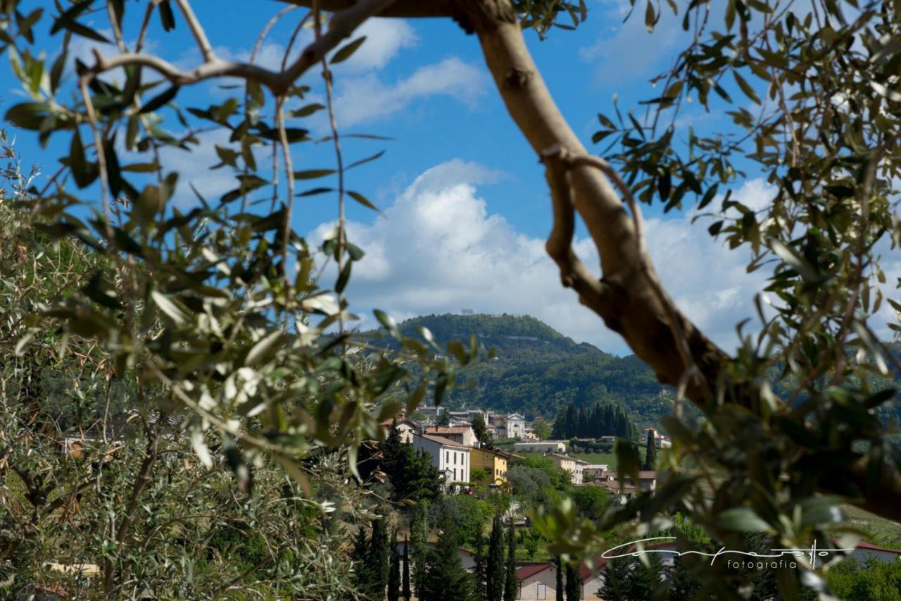 La Bottega De La Sminca Bed and breakfast *
