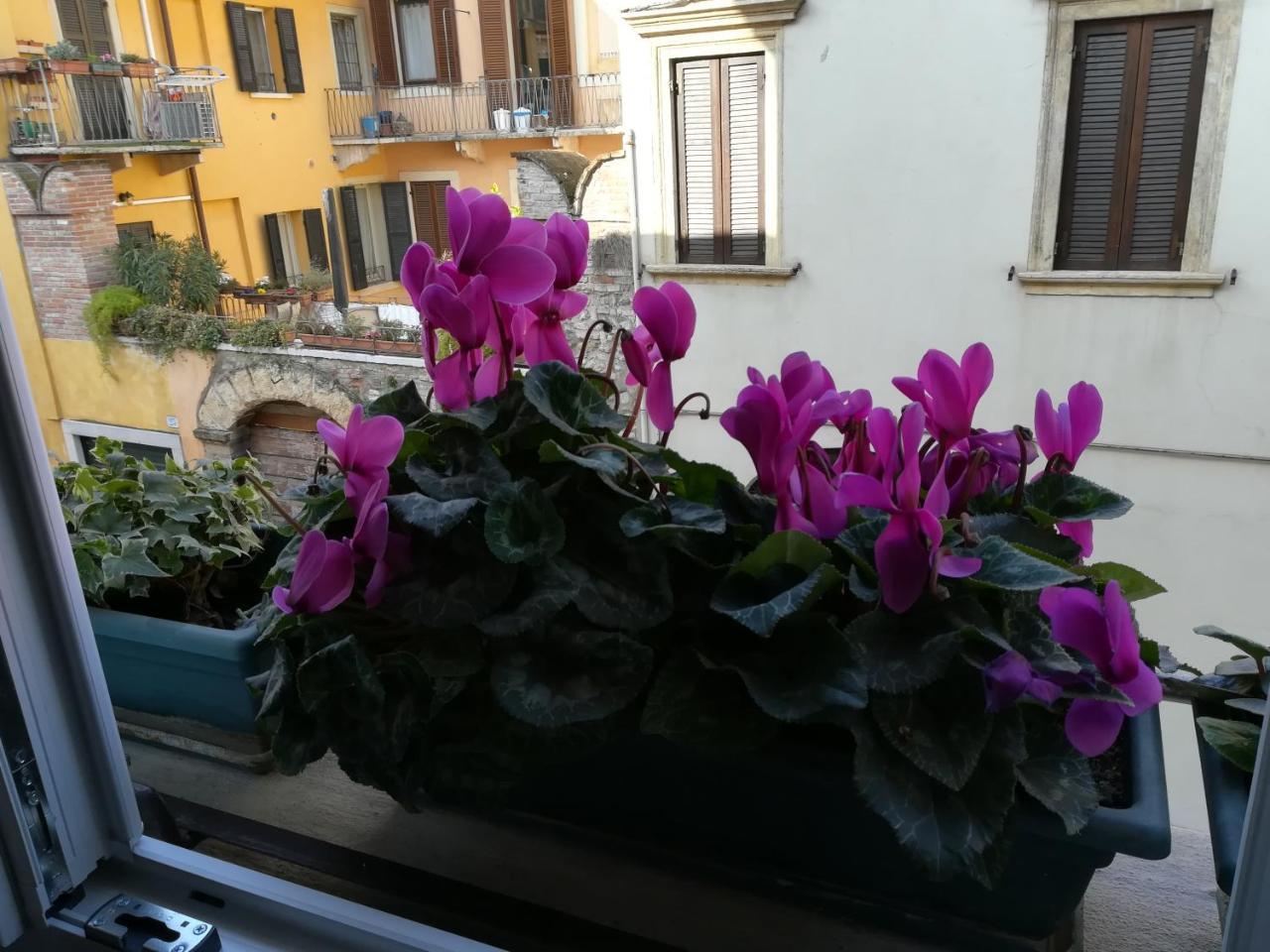 A Casa Di Luca Pensión *