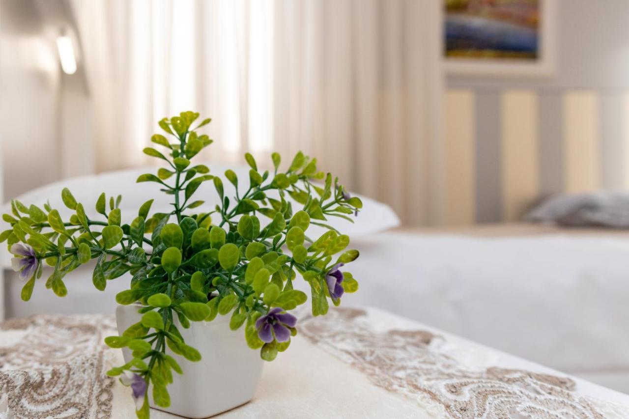 Bed and breakfast Accademia 2*