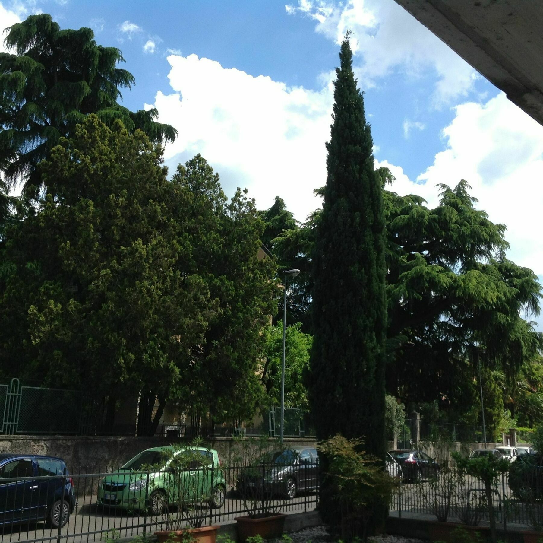 Apartamento Porta Palio *