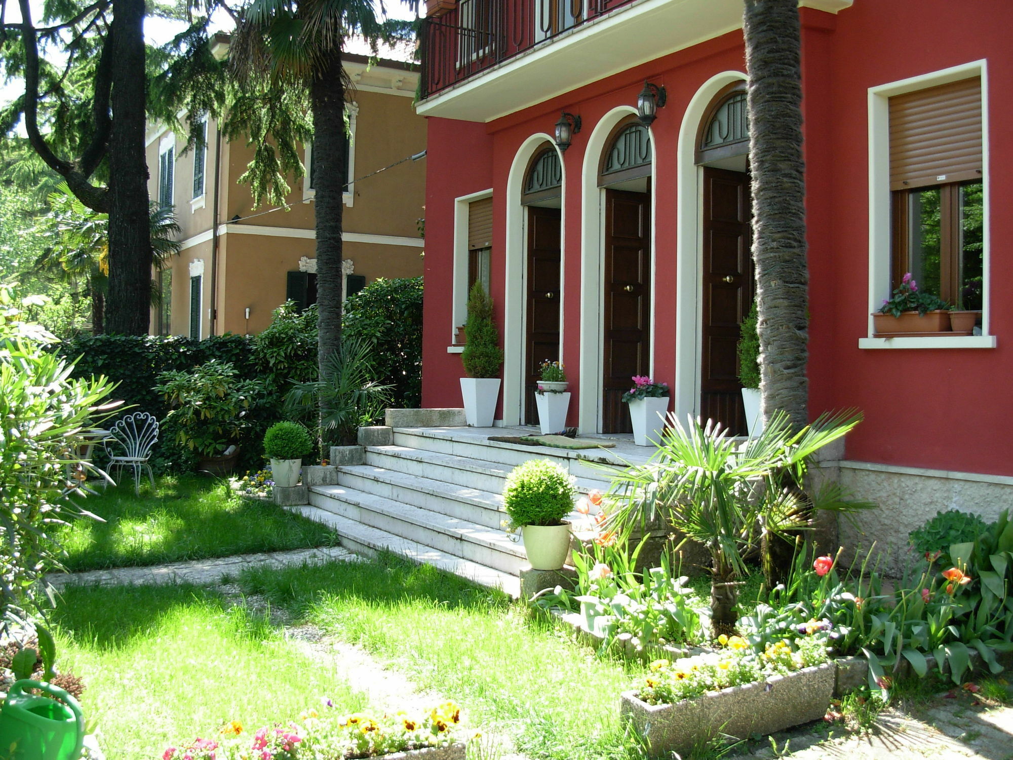 Il Tulipano