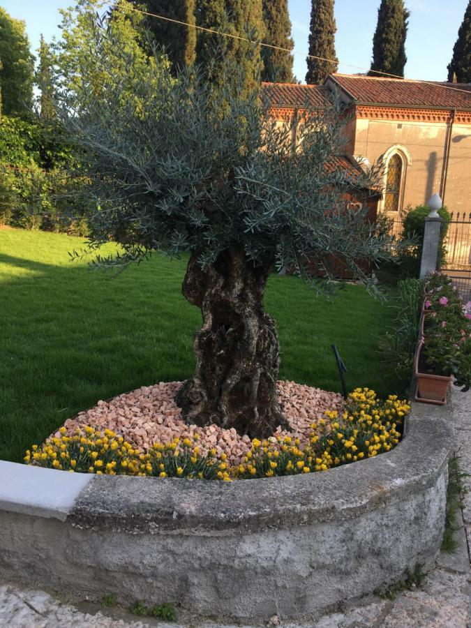 Castel Montorio Bed and breakfast *