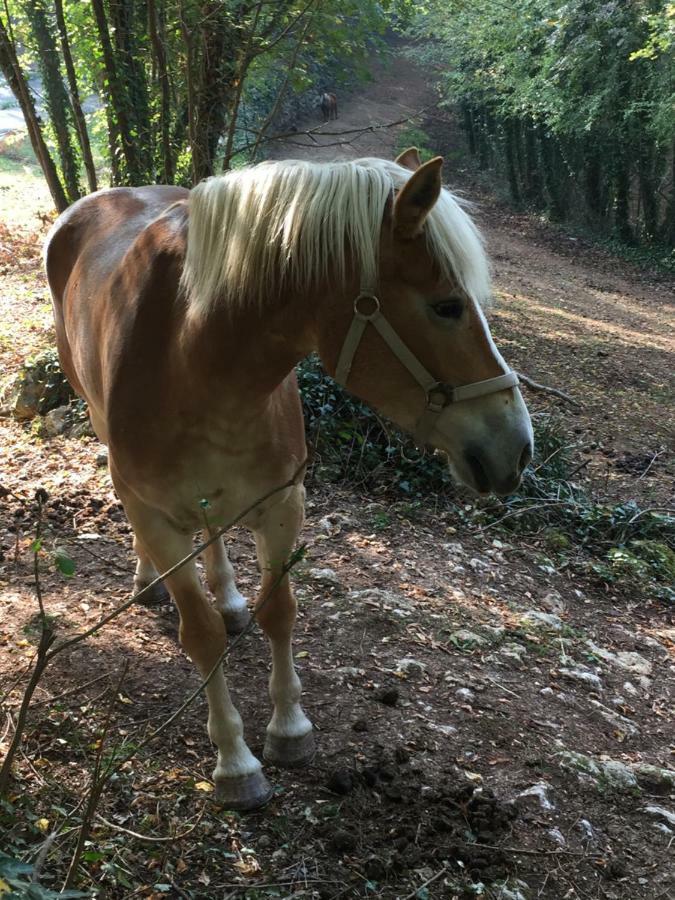 Agriturismo Macole Fattoria Con Spuntini Agroturismo