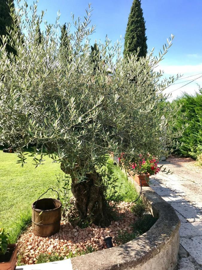 Bed and breakfast Castel Montorio
