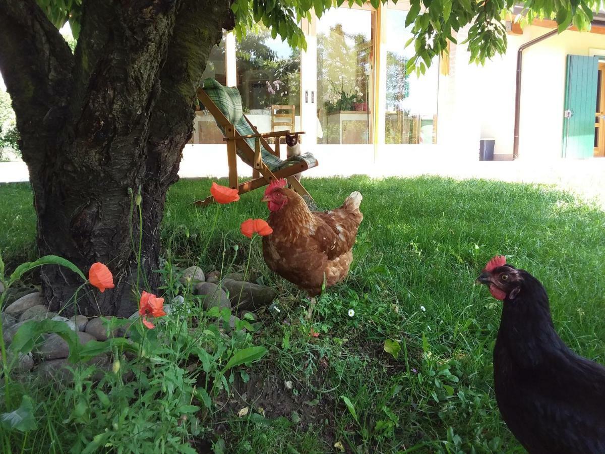 Gasthof “al Campo” *