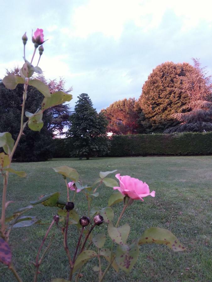 “al Campo” Gasthof Verona