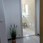 Appartamento in centro (very close to Arena)