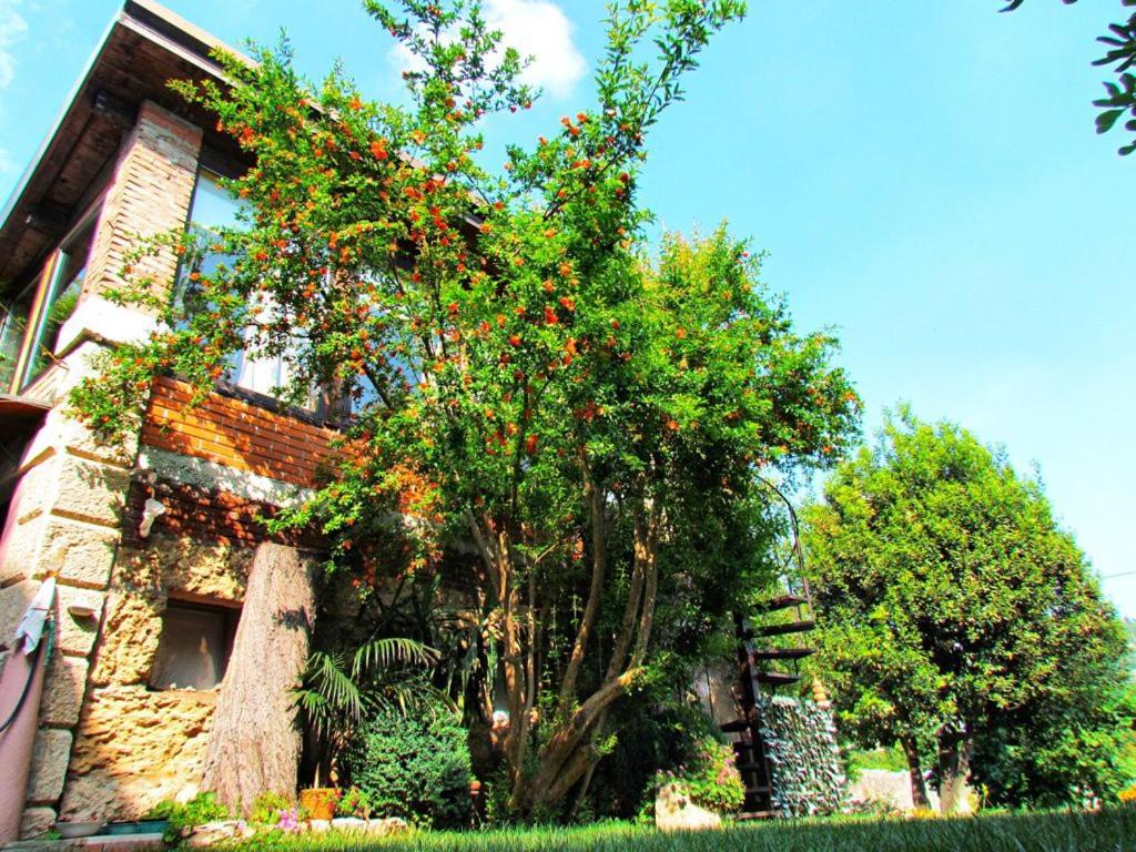 Bed and breakfast La Piccionaia Verona