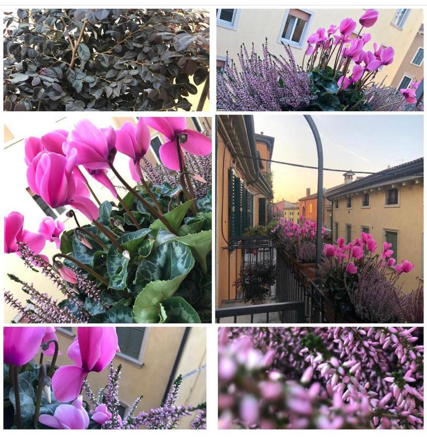 Frühstückspension Veronantica