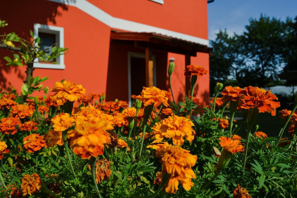 Agroturismo Ca' La Pergola Verona