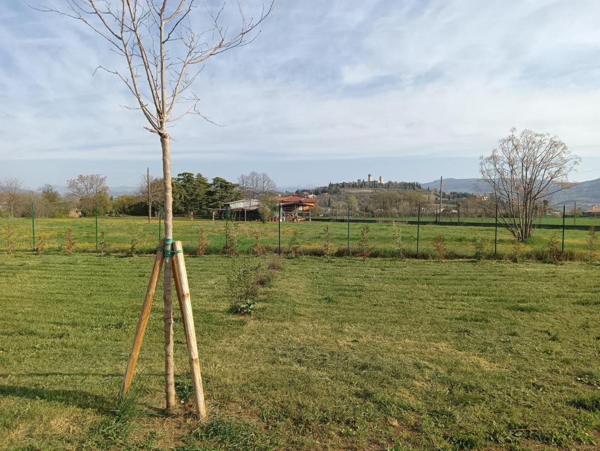 Camping Agricampeggio Oro Verde *