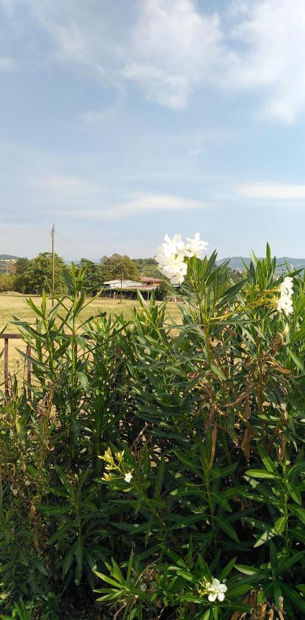 Agricampeggio Oro * Verona