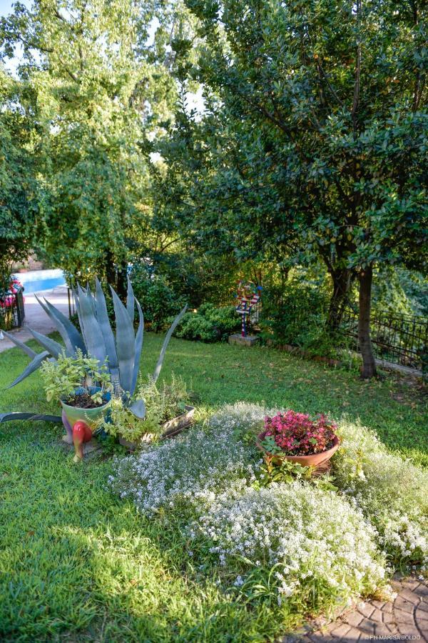 Isidoro Ampio Parco ,piscina Privata, Arte E Giochi , Fitness