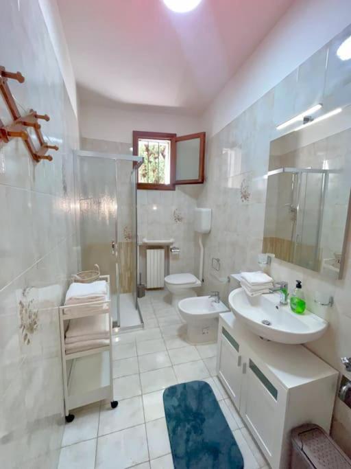 Apartment San Tomaso