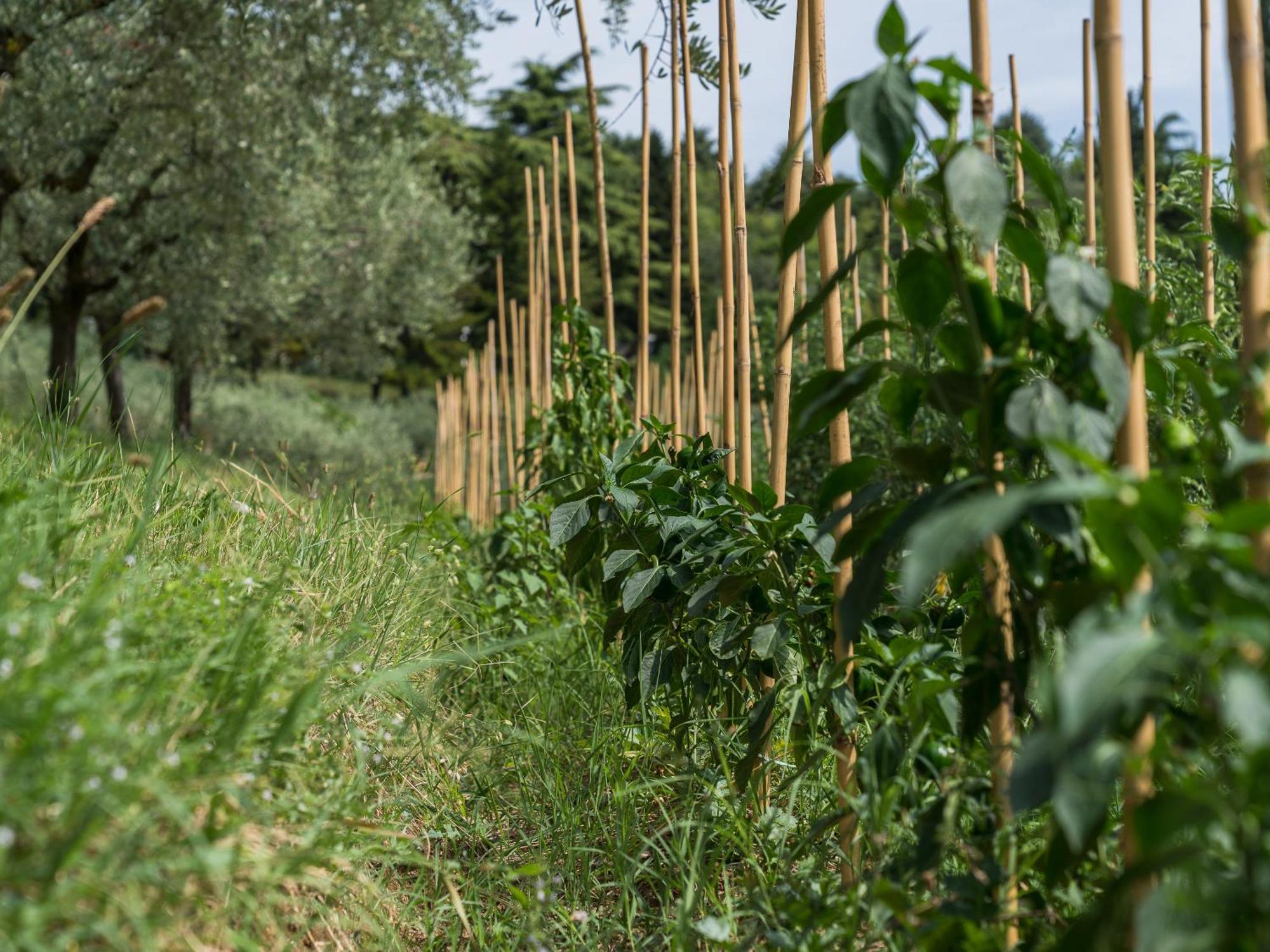 Ca Toresele Relais Osteria Garden Verona