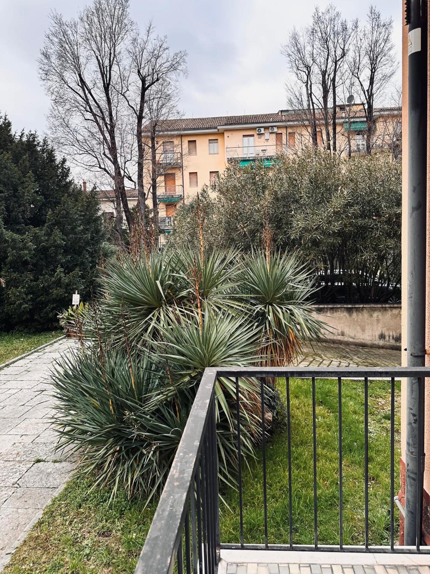 Giada Lux Apartment *