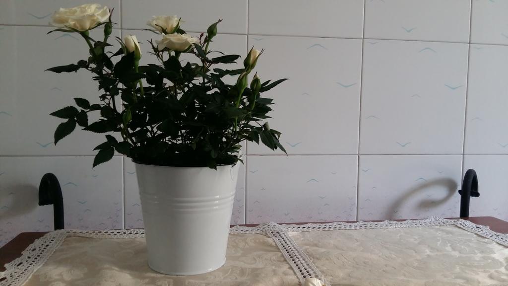Apartamento Antichi Sogni *