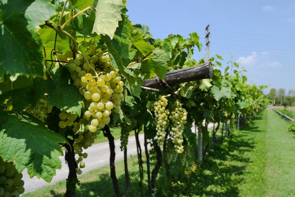 Agroturismo Ca' La Pergola Verona