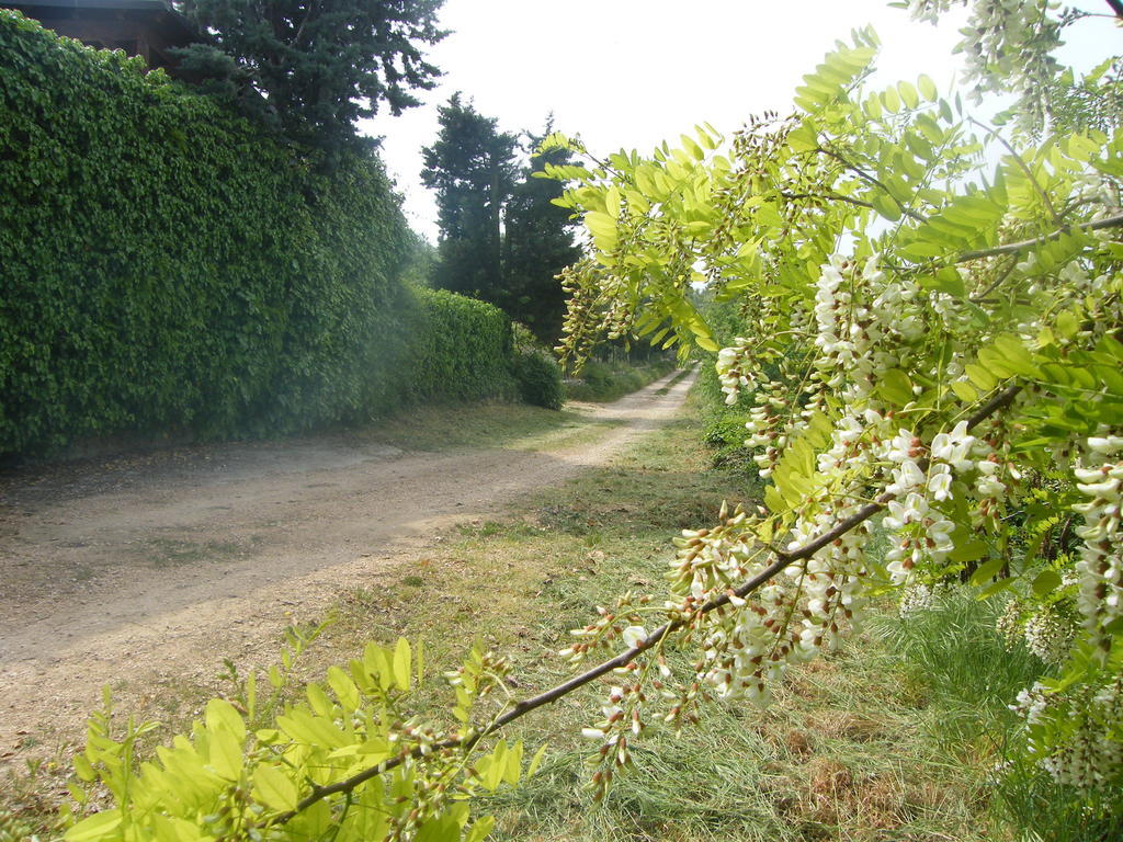 Ca' Morino