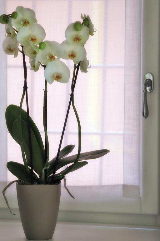 Boutique Apartamento *