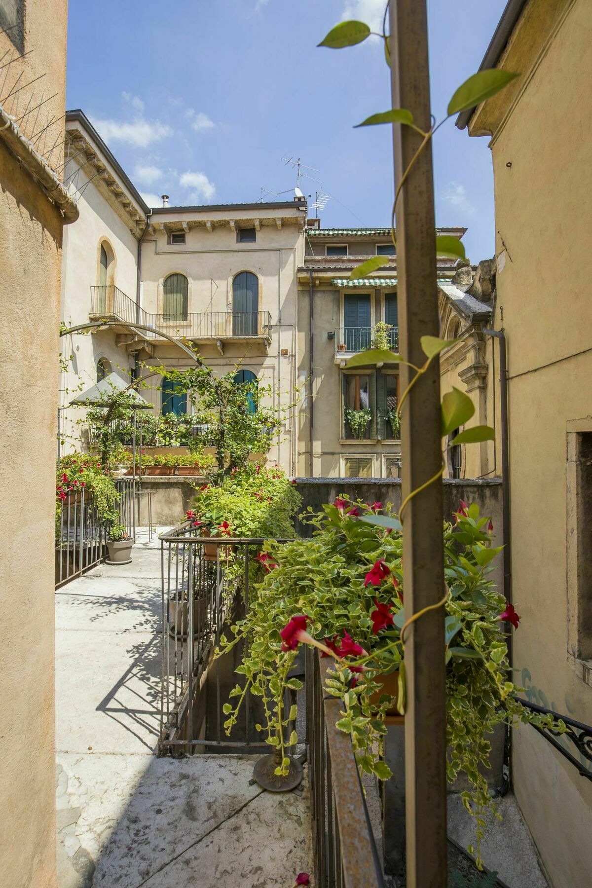 Corte Realdi Verona